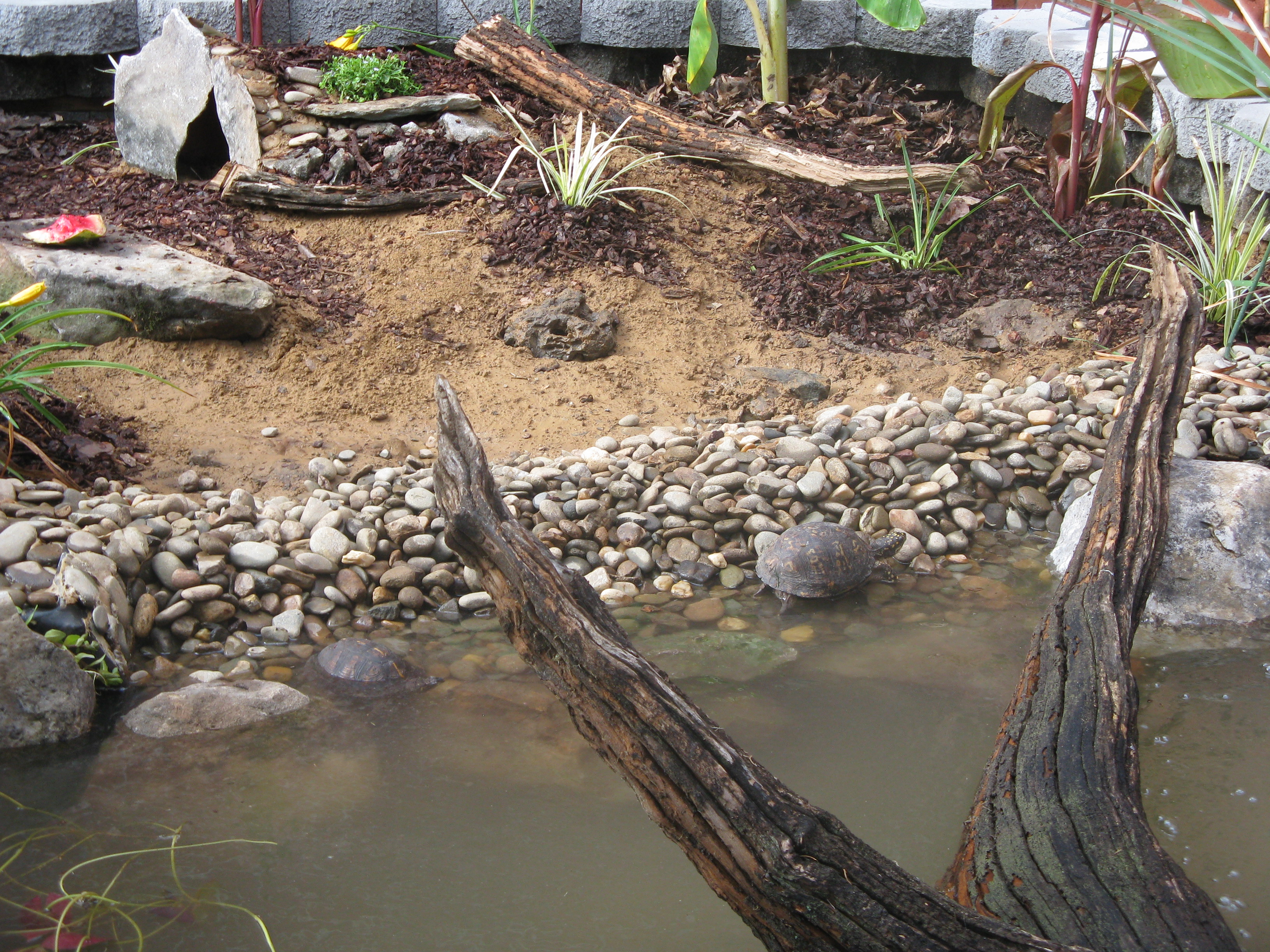 Outdoor Learning Station Box Turtle Habitat Awf,Washing Soda Formula