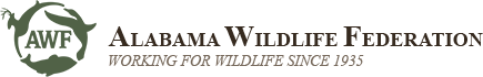 Alabama Wildlife Federation | AWF