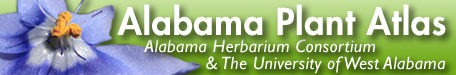 Alabama Plant Atlas Logo