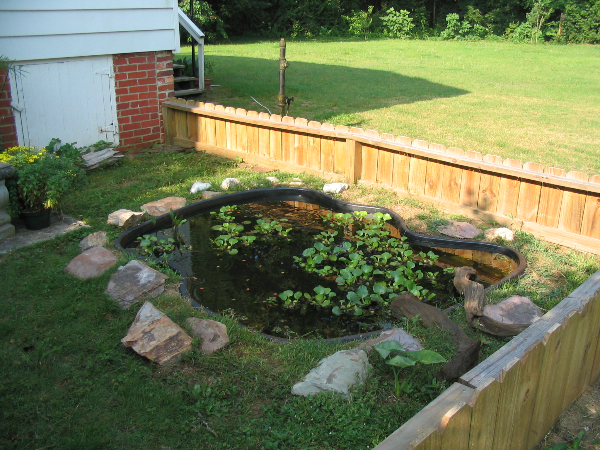 Example Red-eared Pond Slider Habitat