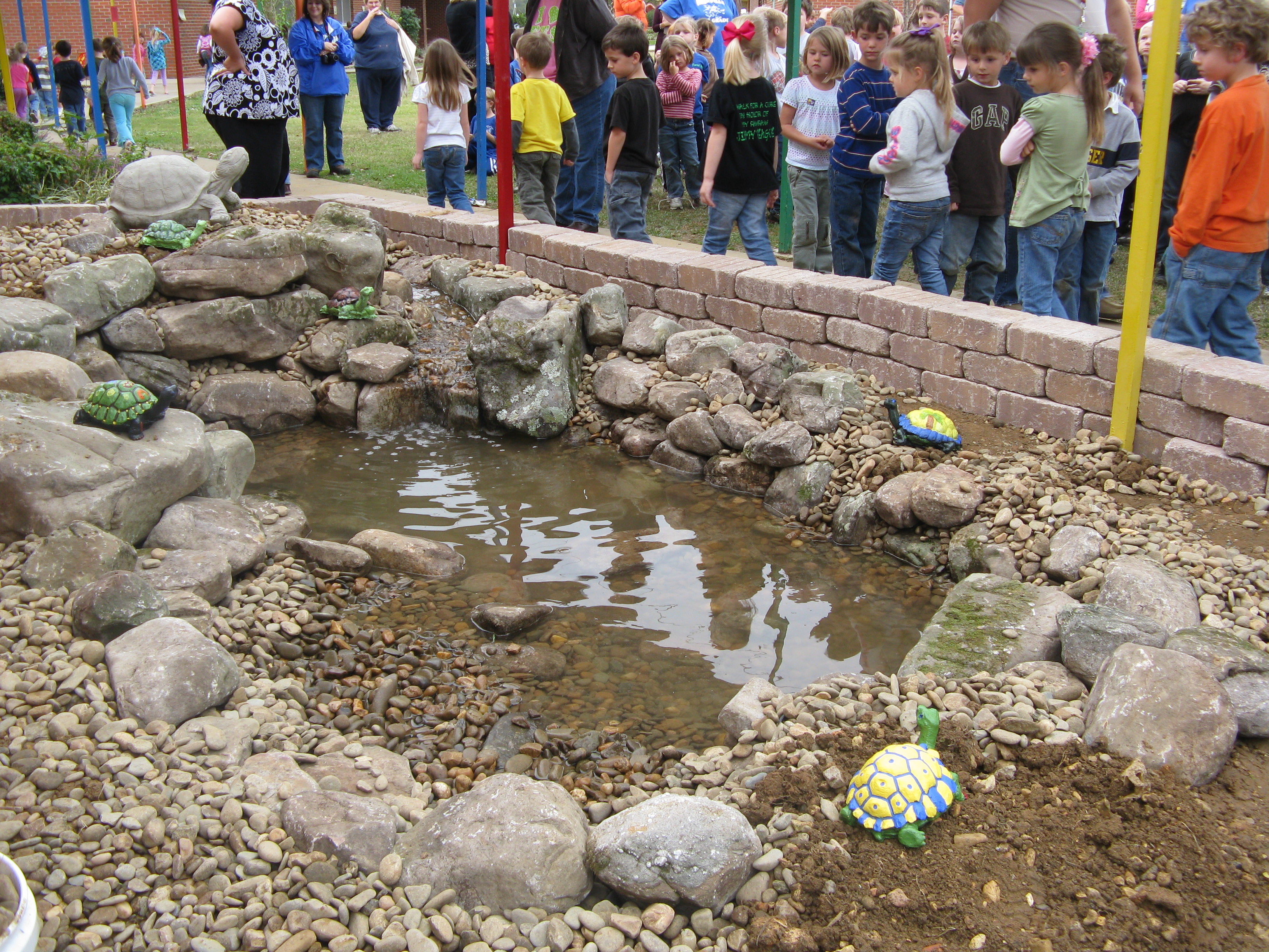 Example Aquatic Turtle Habitat