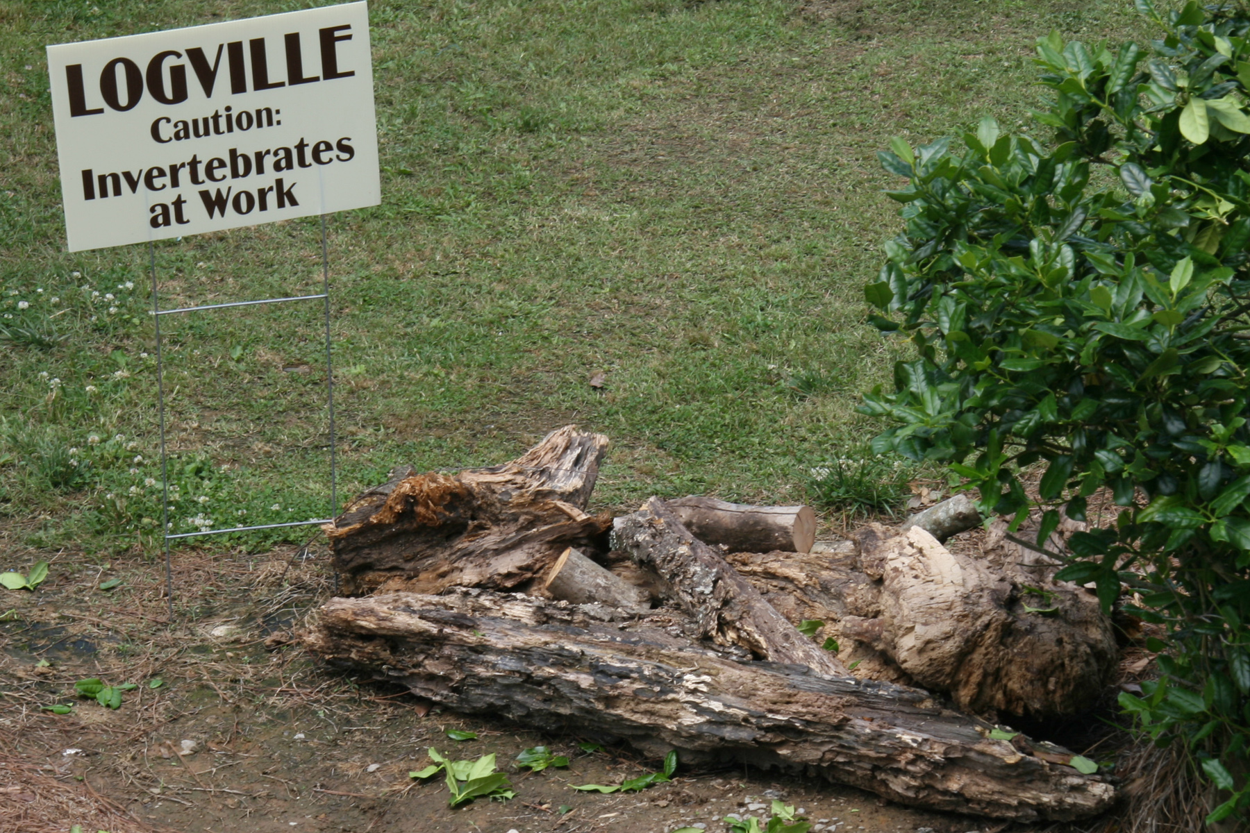 Log Decomposition Station Sign
