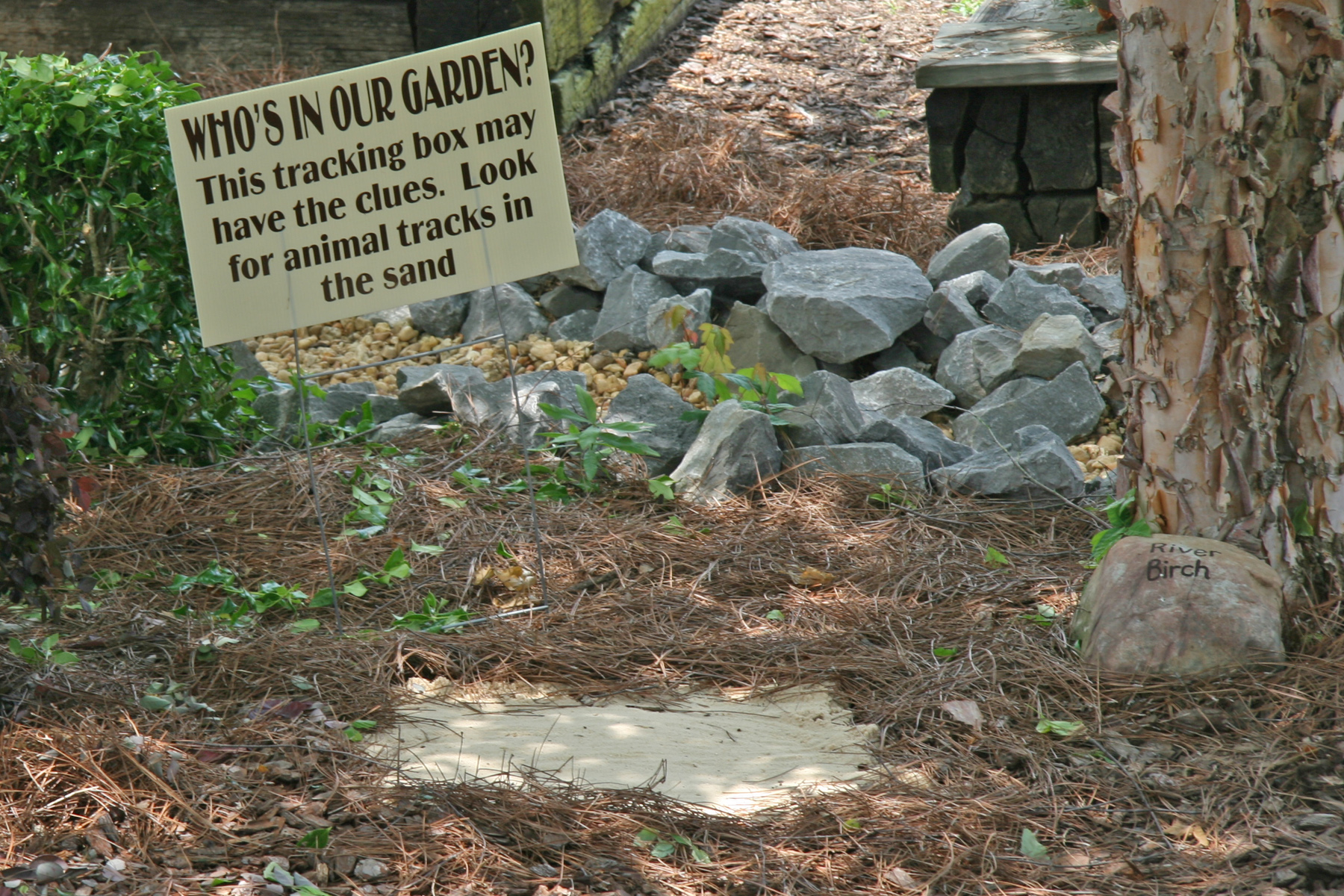 Wildlife Tracks Station Sign