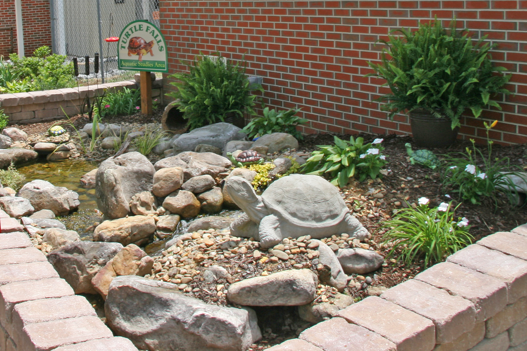 Eastern Box Turtle Habitat Sign