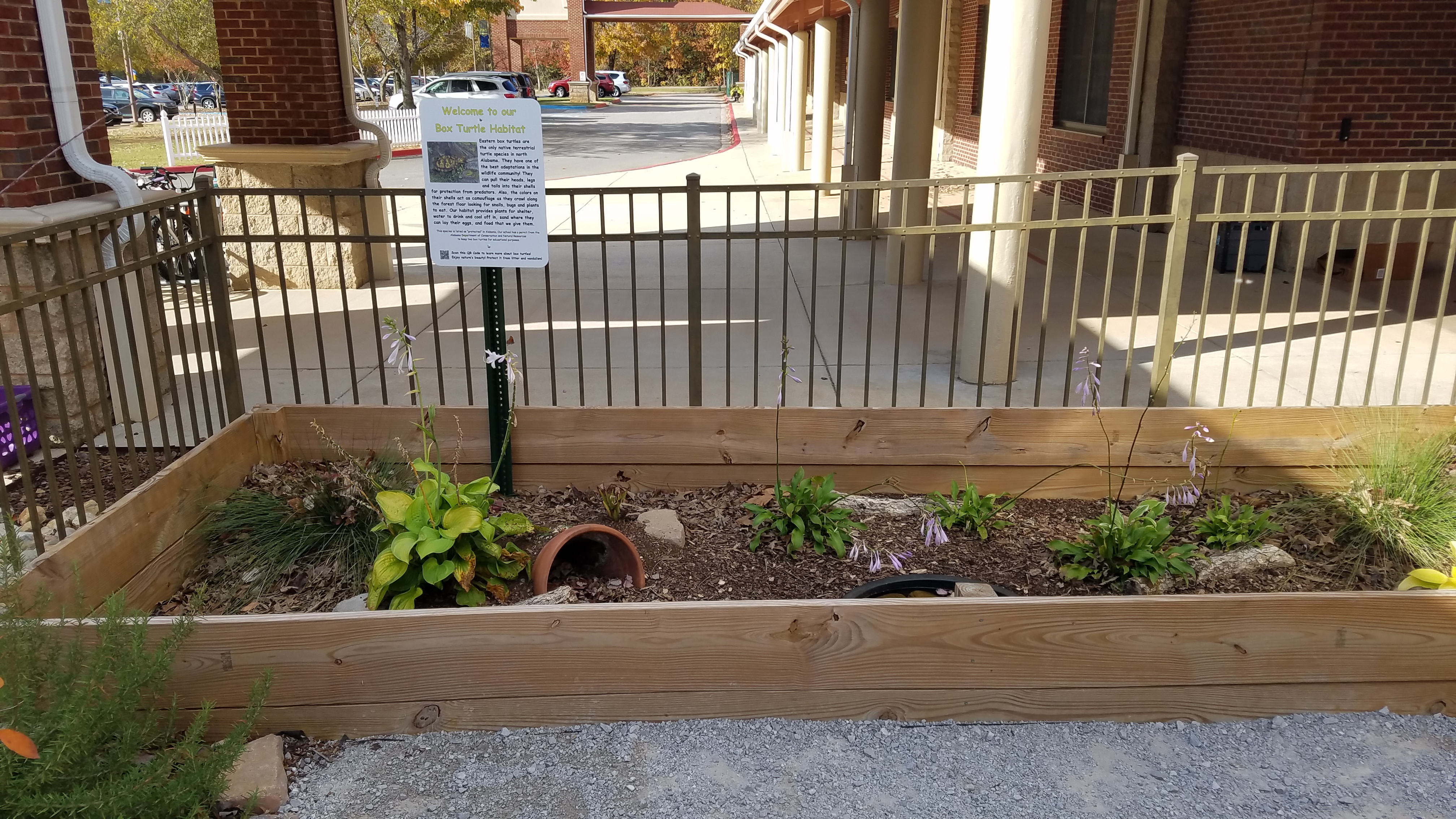 Example Box Turtle Habitat Learning Station