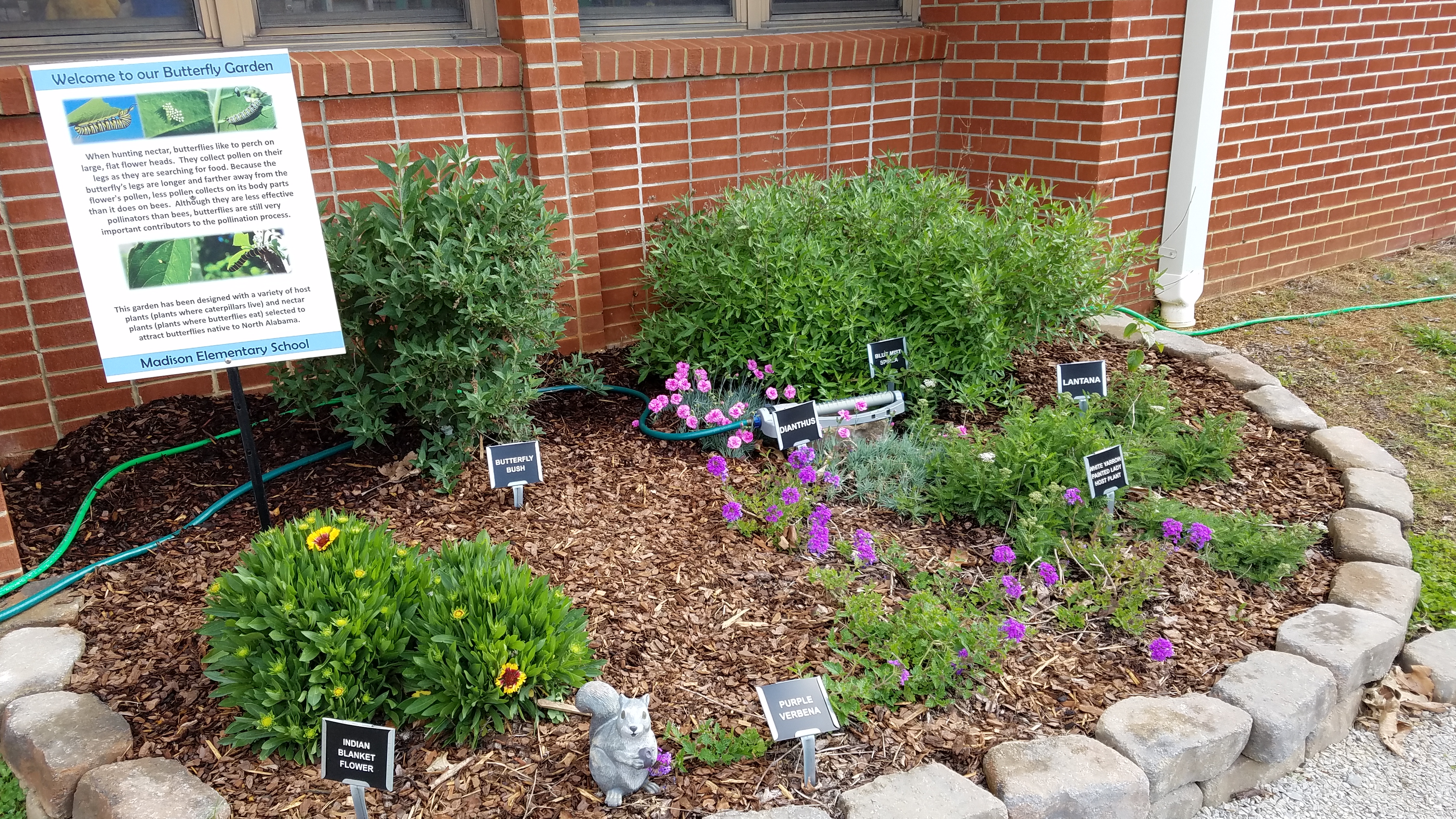 Example Butterfly Garden