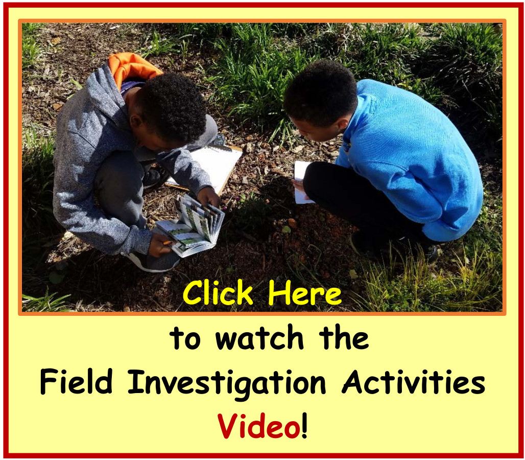New OC Field Investigation Activity Video