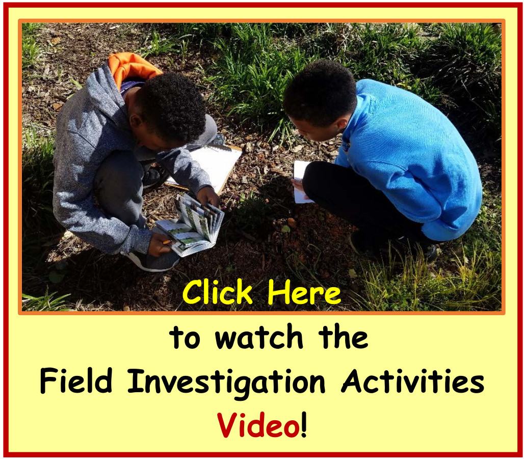 New OC Field Investigation Activities