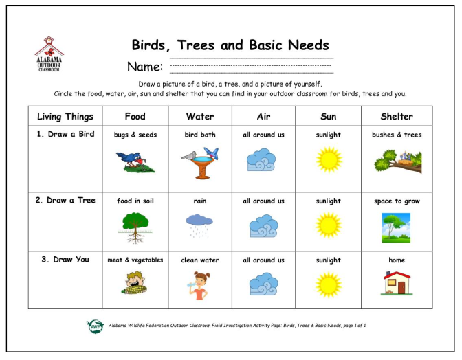 Basic Needs Of Living Things Year Worksheet Worksheets,, 59% OFF