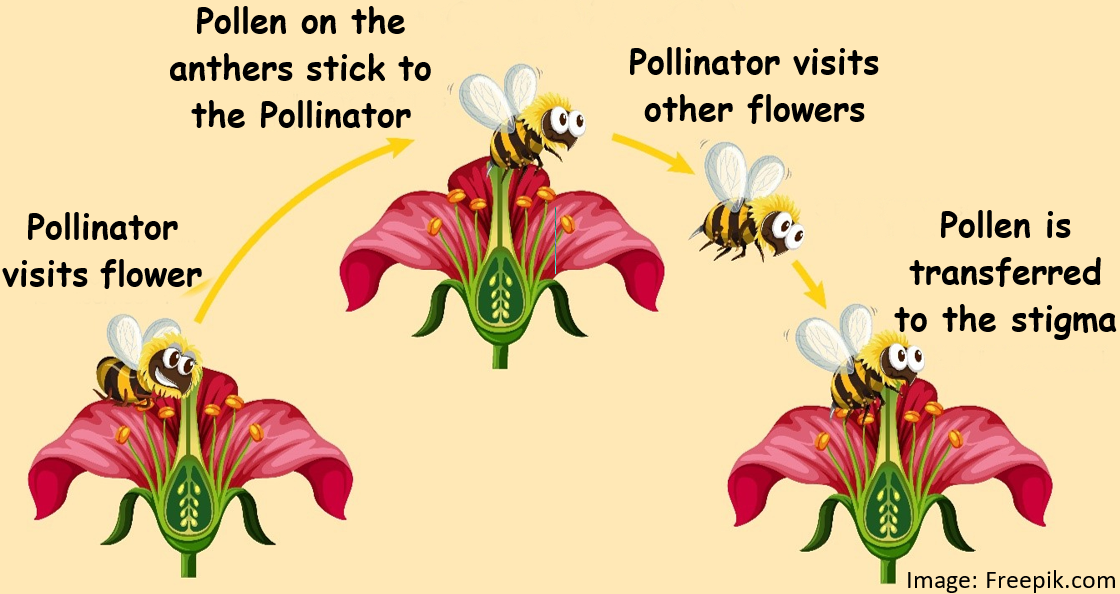 https://www.alabamawildlife.org/uploadedFiles/Image/image-20201005170357-1.jpeg