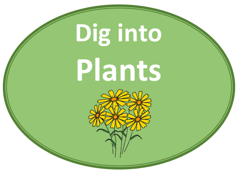 Dig Into Plants