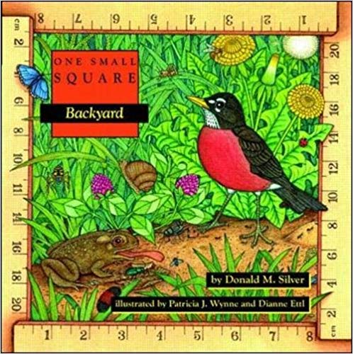 One Small Square: Backyard book cover