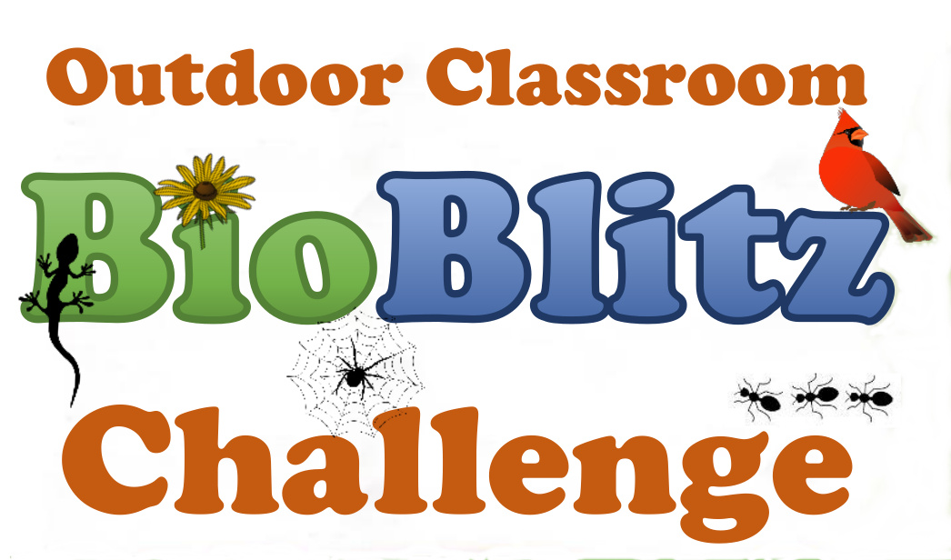 Outdoor Classroom BioBlitz Challenge