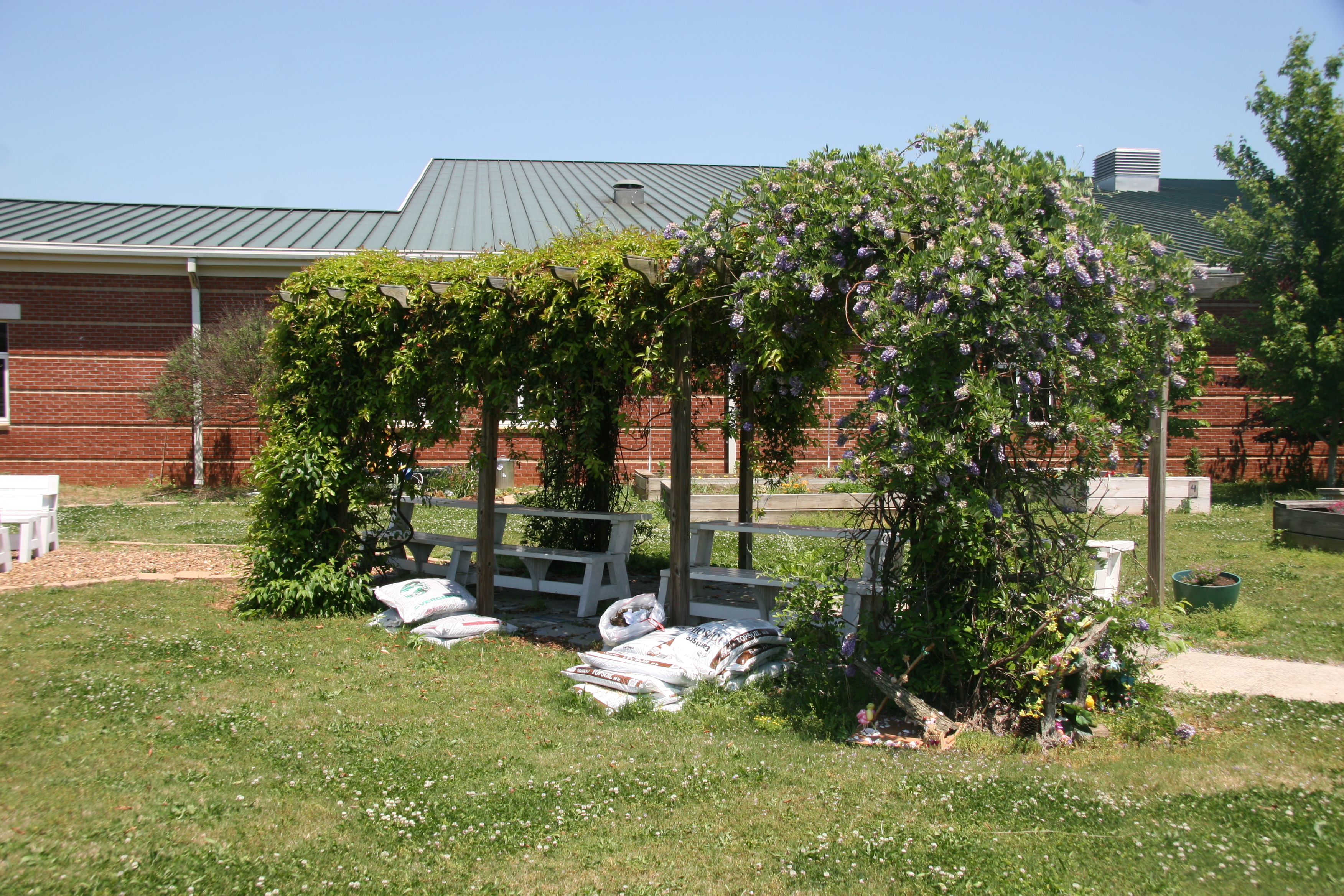 example pergola with vines