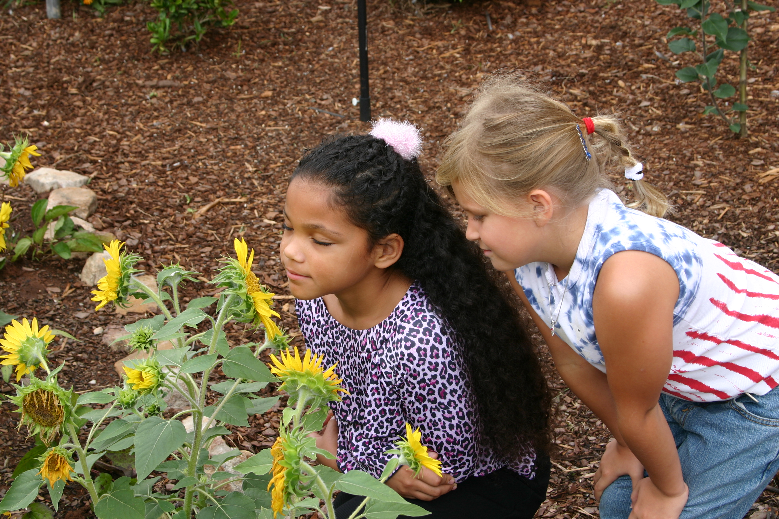 Students observing flowers