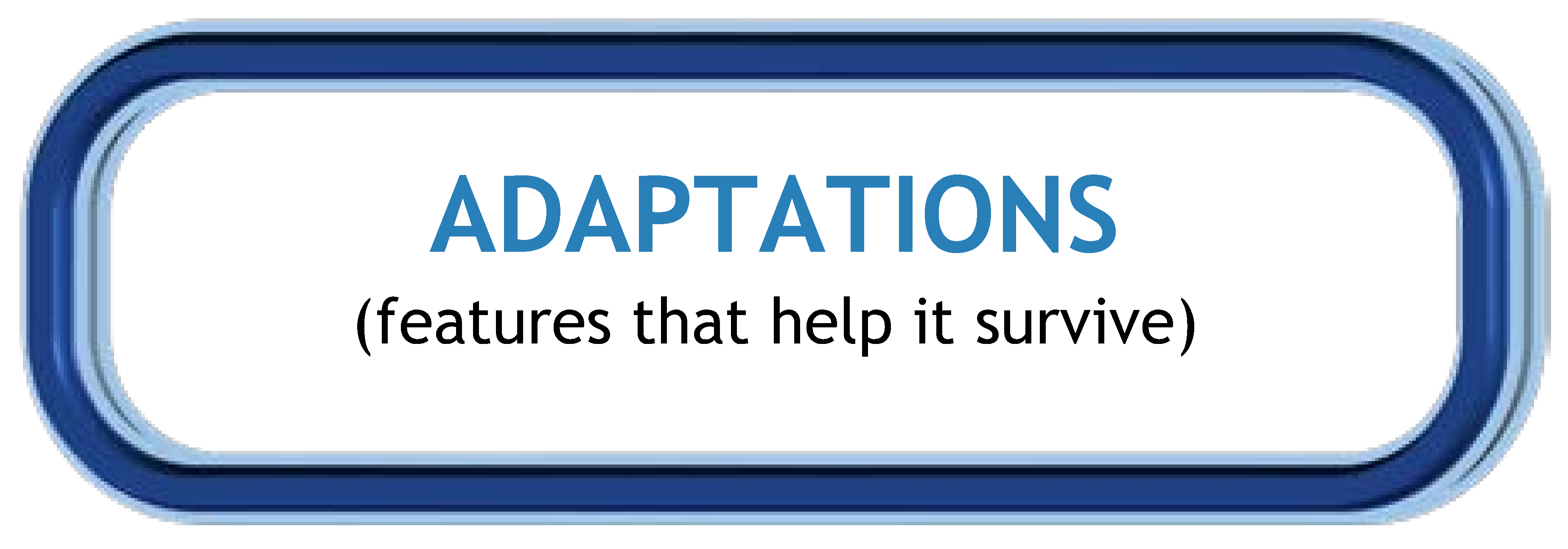 Adaptations Button