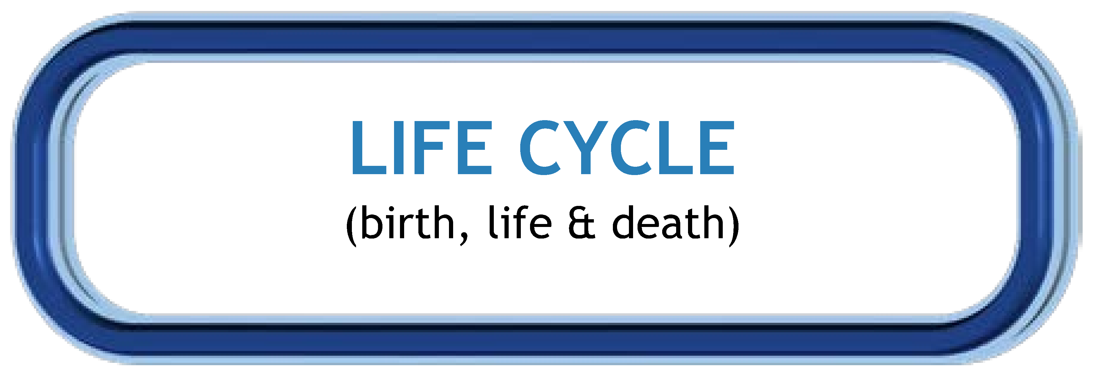 Life Cycle 