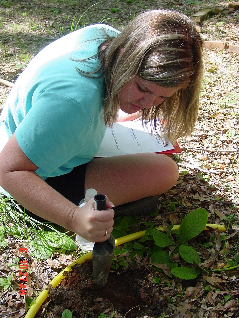 Forest Floor Activity